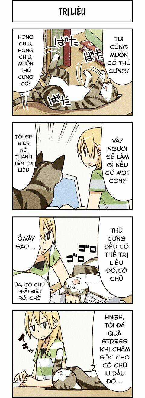 We Are Cat - Chapter 11 - Trang 3