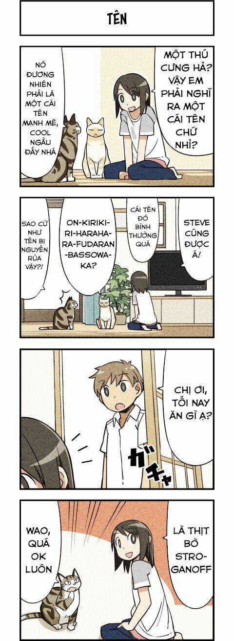 We Are Cat - Chapter 11 - Trang 5