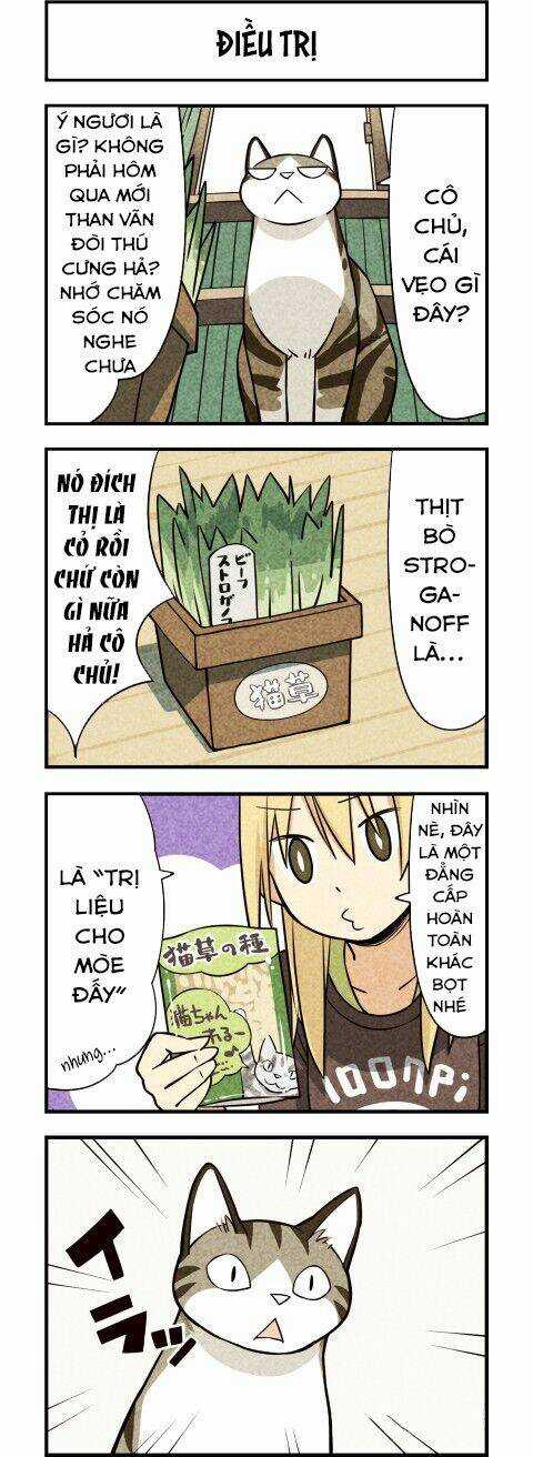 We Are Cat - Chapter 11 - Trang 6