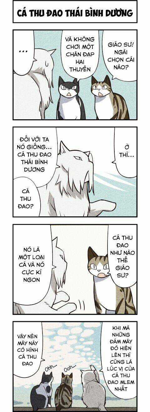 We Are Cat - Chapter 12 - Trang 5