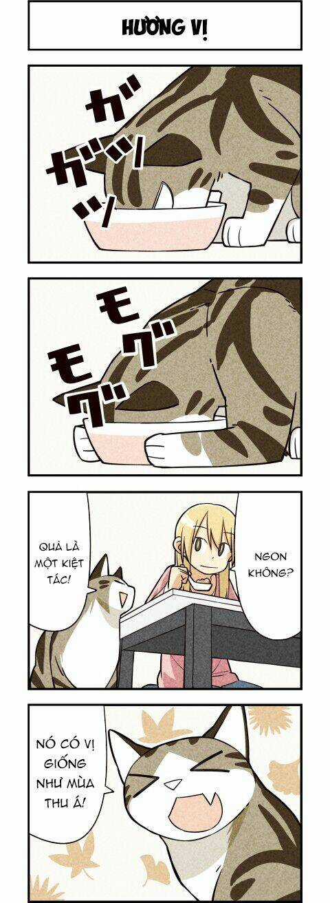 We Are Cat - Chapter 12 - Trang 7