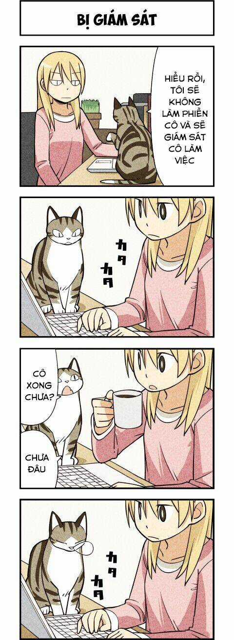 We Are Cat - Chapter 13 - Trang 6