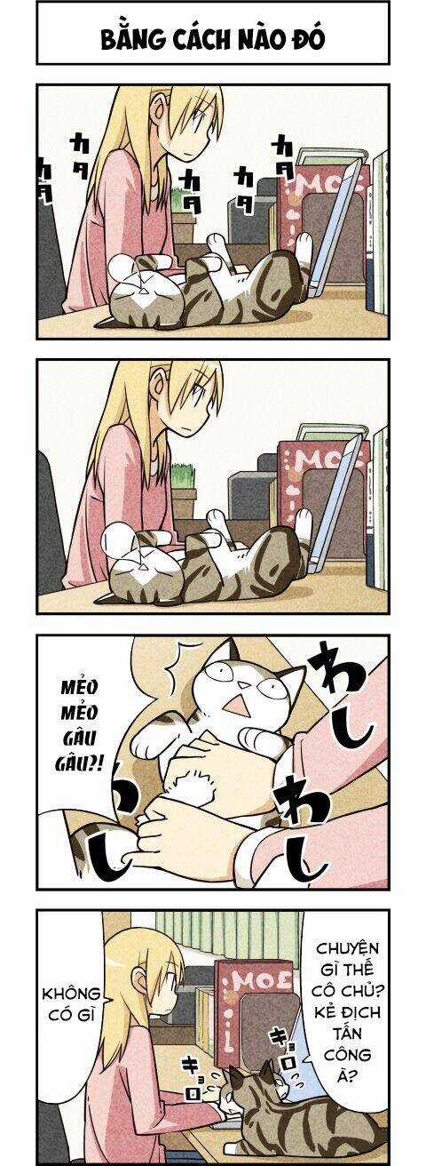 We Are Cat - Chapter 13 - Trang 7