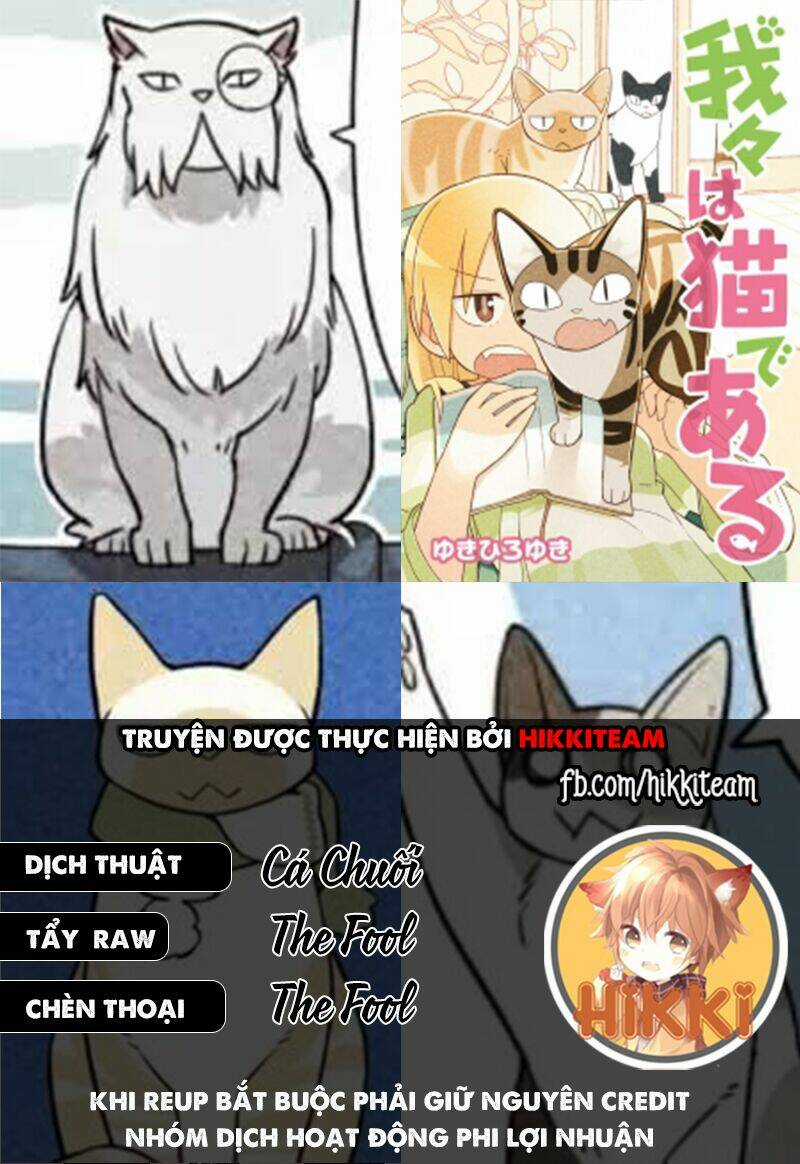 We Are Cat - Chapter 14 - Trang 1