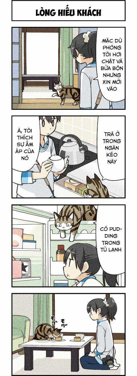 We Are Cat - Chapter 14 - Trang 5