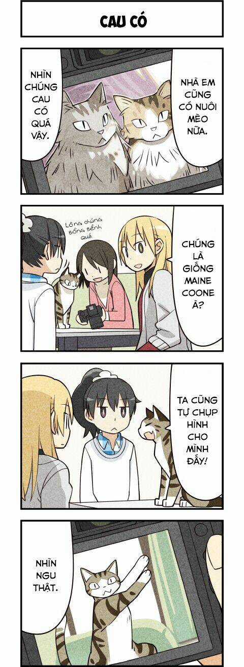 We Are Cat - Chapter 15 - Trang 6