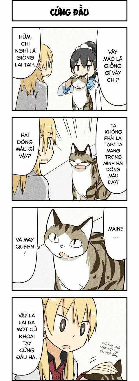 We Are Cat - Chapter 15 - Trang 7