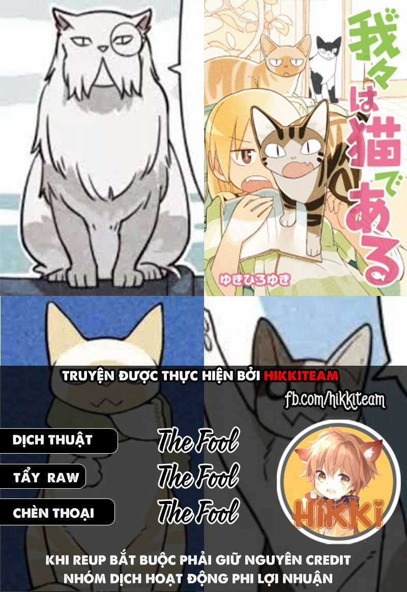 We Are Cat - Chapter 16 - Trang 1