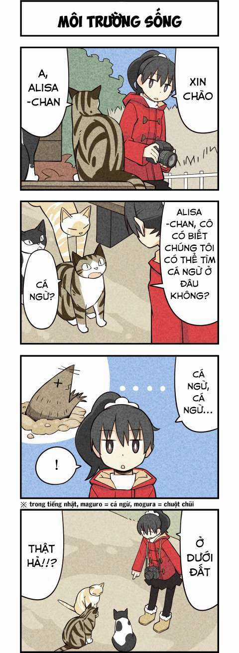 We Are Cat - Chapter 16 - Trang 3