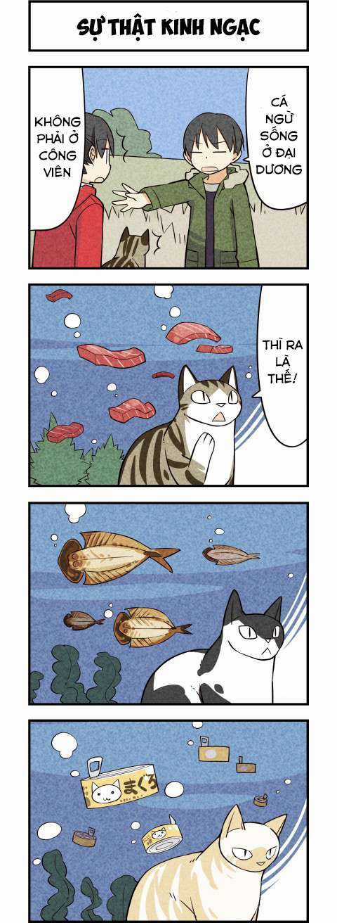 We Are Cat - Chapter 16 - Trang 5