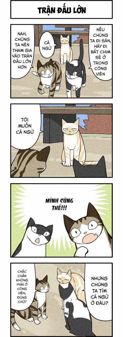 We Are Cat - Chapter 16 - Trang 6
