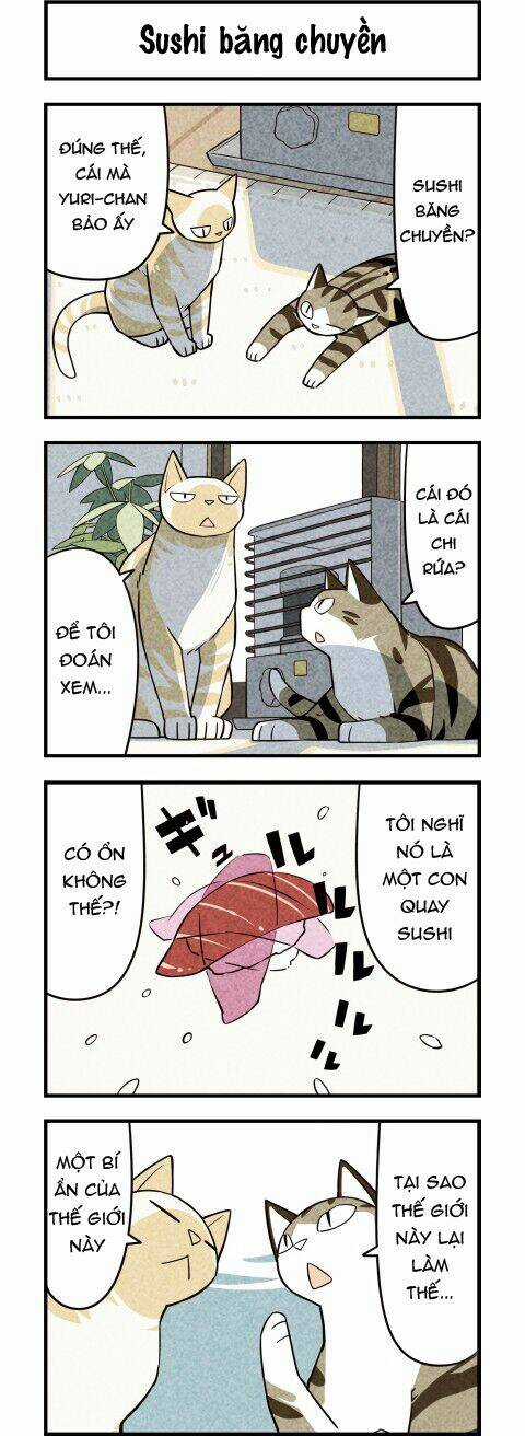 We Are Cat - Chapter 18 - Trang 2