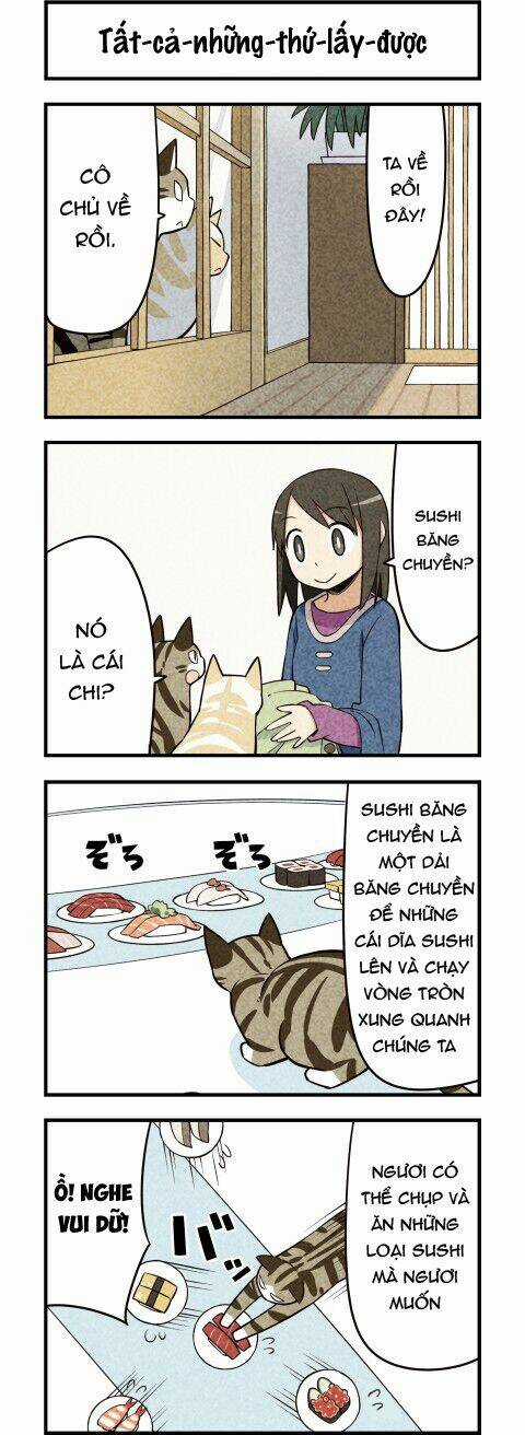 We Are Cat - Chapter 18 - Trang 3