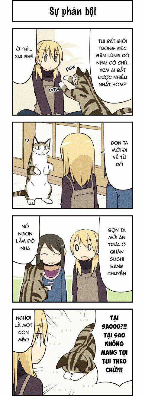 We Are Cat - Chapter 18 - Trang 4