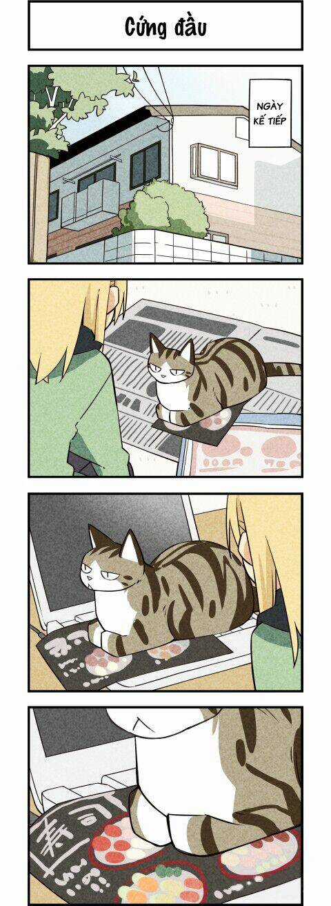 We Are Cat - Chapter 19 - Trang 2