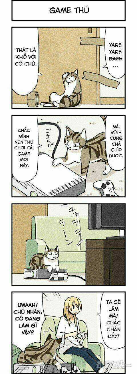 We Are Cat - Chapter 2 - Trang 5