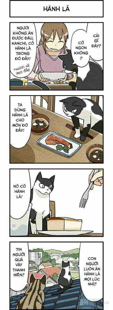 We Are Cat - Chapter 3 - Trang 2