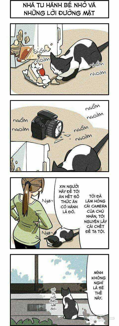 We Are Cat - Chapter 3 - Trang 3