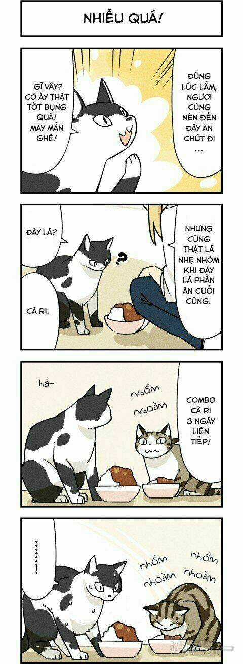 We Are Cat - Chapter 3 - Trang 5