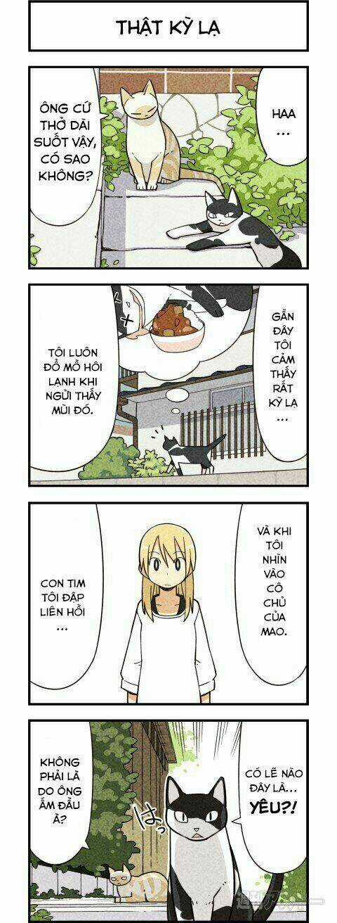 We Are Cat - Chapter 5 - Trang 2