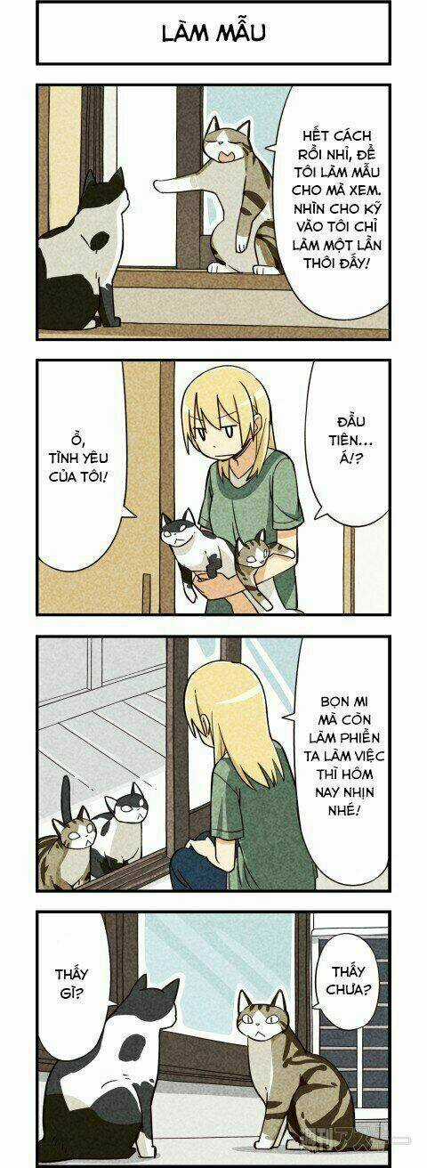 We Are Cat - Chapter 5 - Trang 4