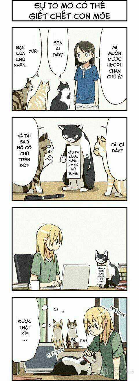 We Are Cat - Chapter 5 - Trang 5