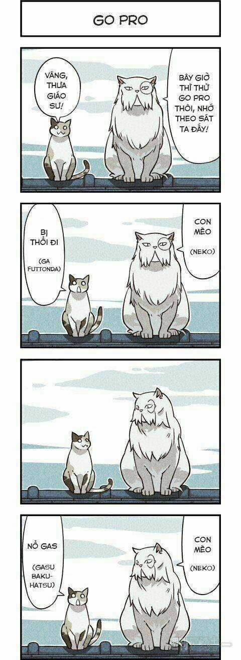 We Are Cat - Chapter 6 - Trang 3