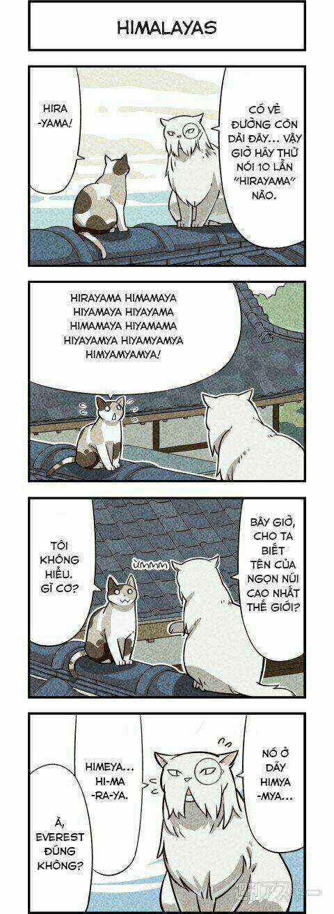 We Are Cat - Chapter 6 - Trang 4