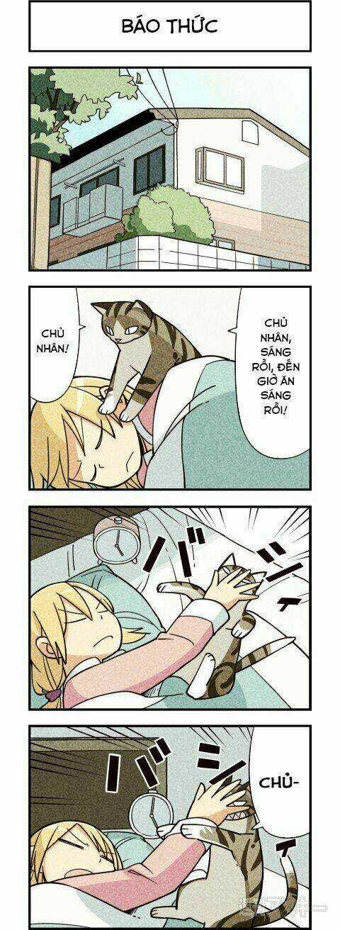 We Are Cat - Chapter 7 - Trang 2