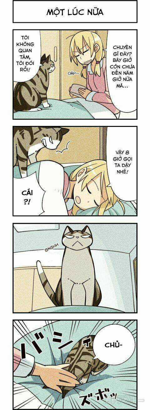 We Are Cat - Chapter 7 - Trang 3