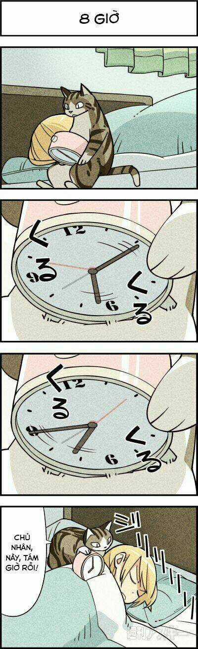 We Are Cat - Chapter 7 - Trang 4