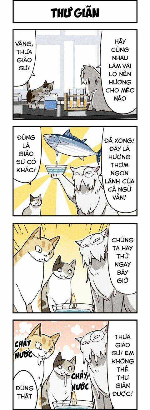 We Are Cat - Chapter 9 - Trang 5