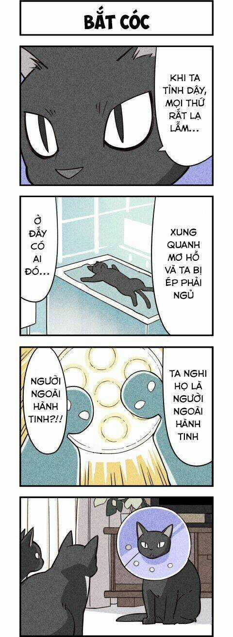 We Are Cat - Chapter 9 - Trang 6