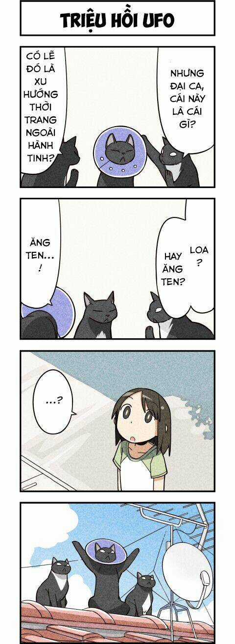 We Are Cat - Chapter 9 - Trang 7