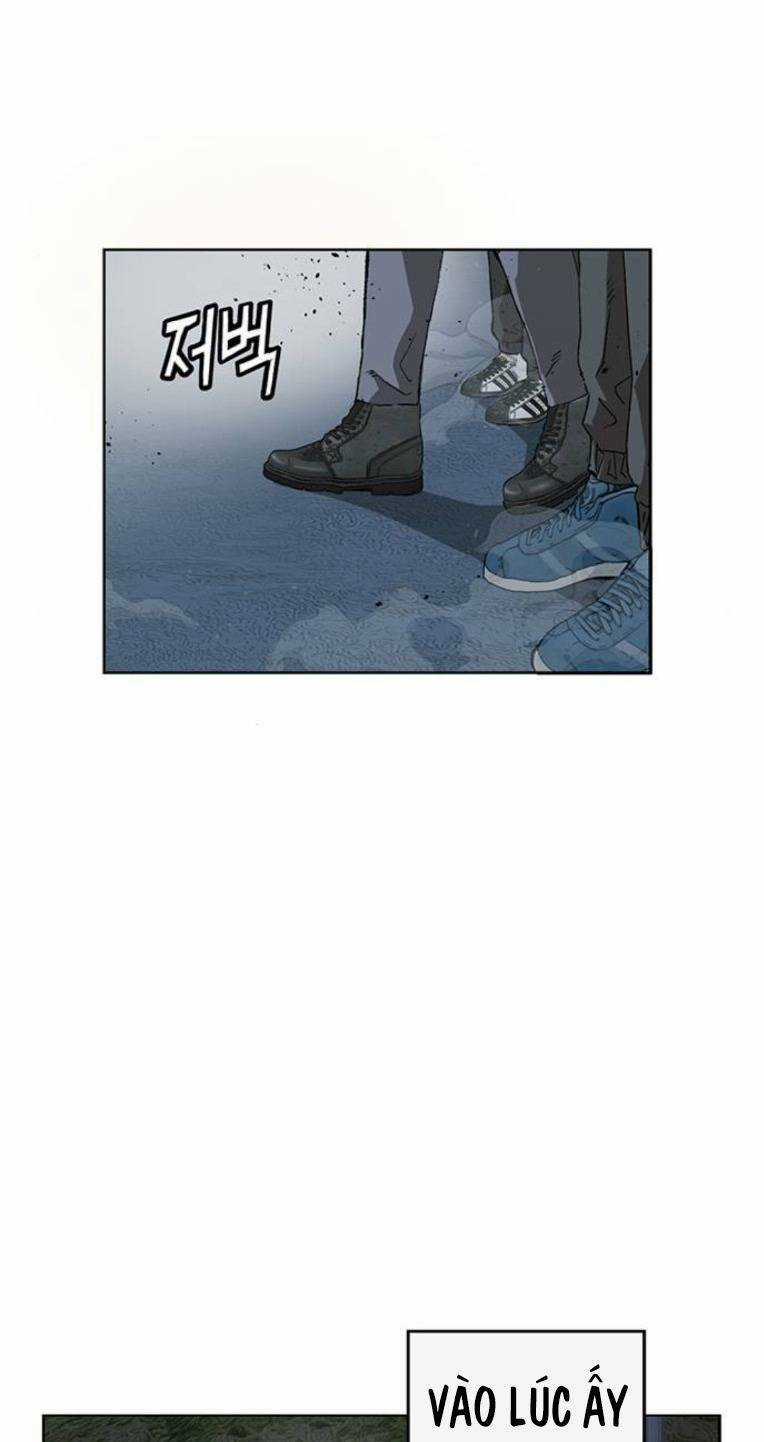 Weak Hero - Chapter 249 - Trang 3