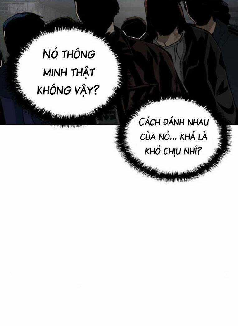 Weak Hero - Chapter 252 - Trang 55