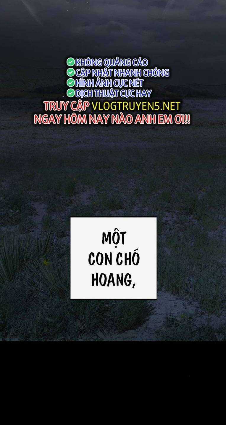 Weak Hero - Chapter 257 - Trang 2