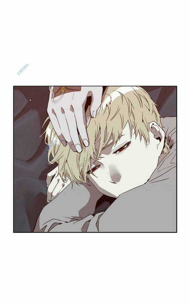 Weak Hero - Chapter 257 - Trang 11