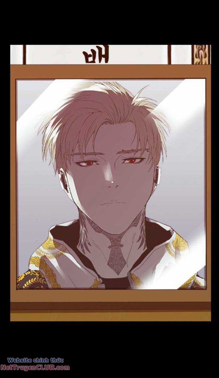 Weak Hero - Chapter 267 - Trang 80