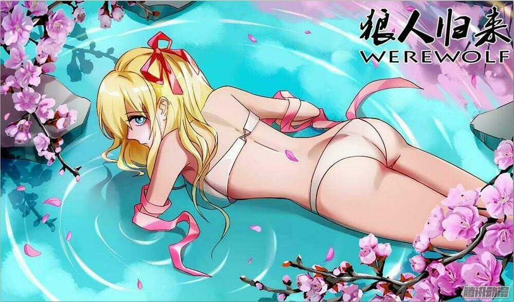 Were Wolf - Chapter 71 - Trang 1