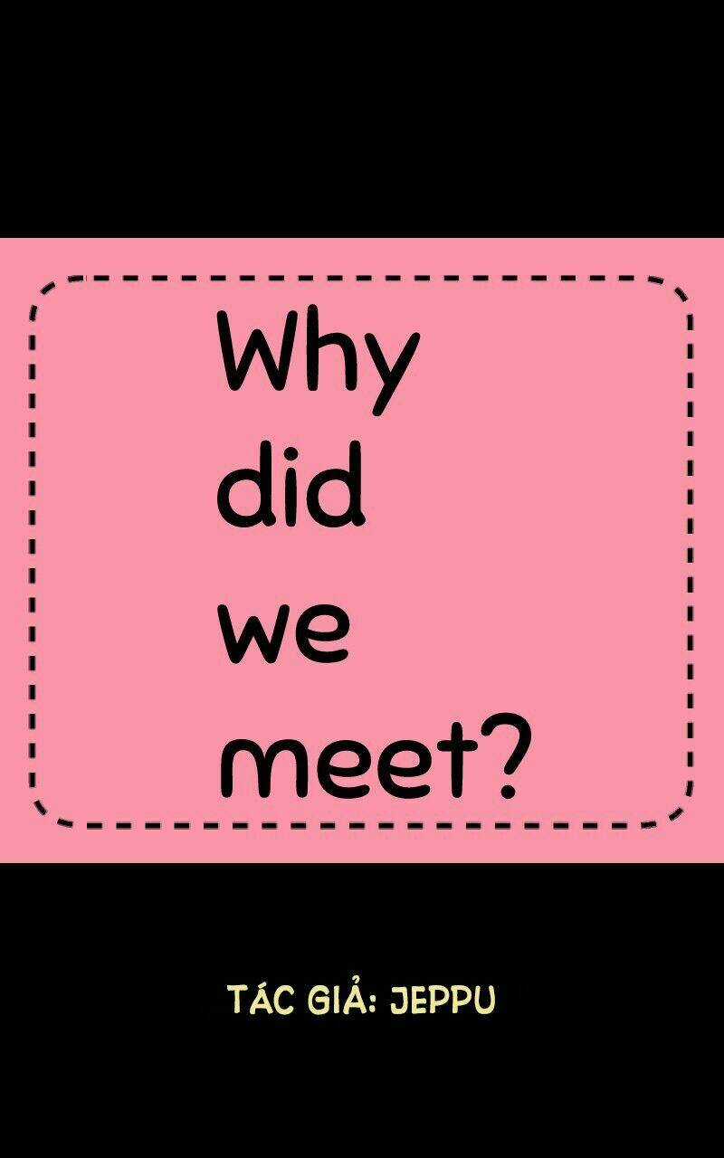 Why Did We Meet? - Chapter 2 - Trang 5