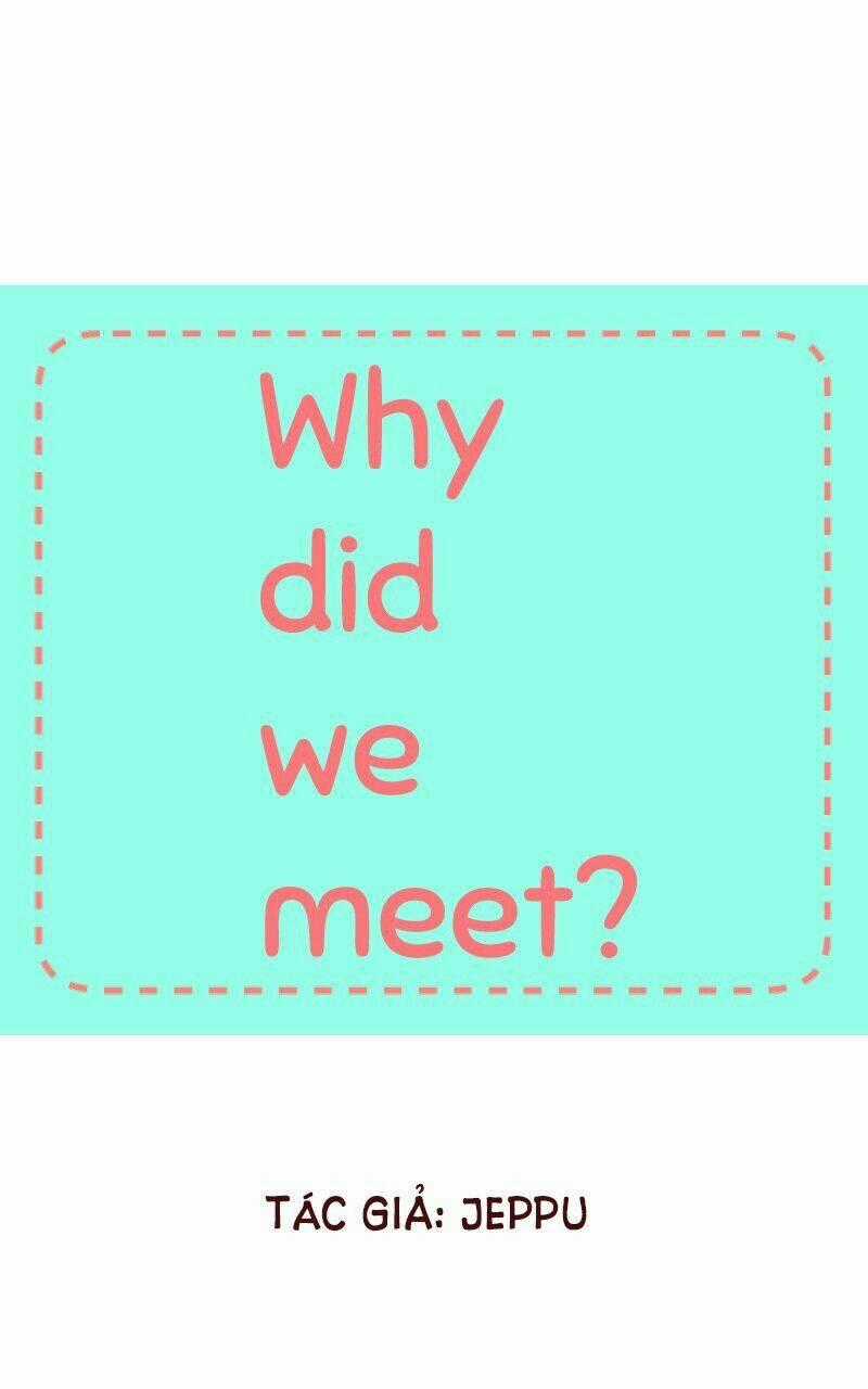 Why Did We Meet? - Chapter 4 - Trang 2