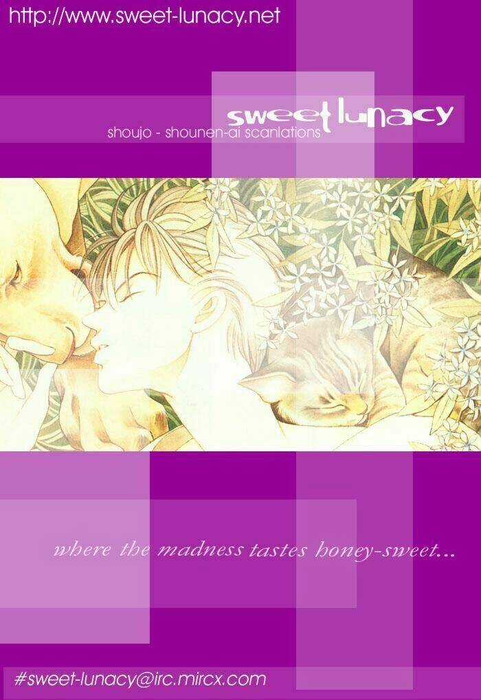 Wild Cats - Chapter 1 - Trang 1