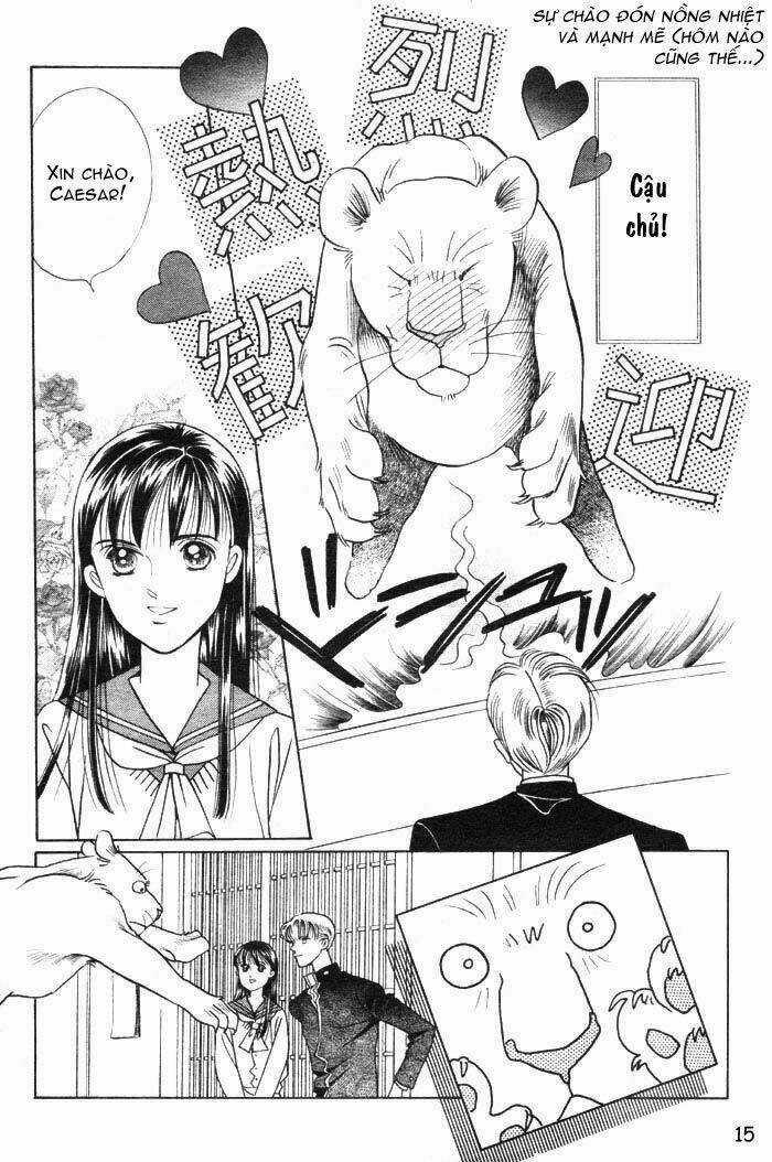 Wild Cats - Chapter 1 - Trang 18