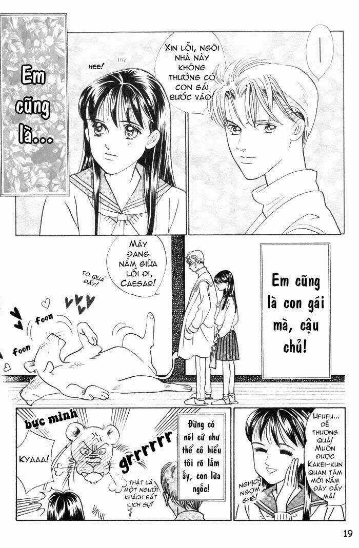 Wild Cats - Chapter 1 - Trang 22