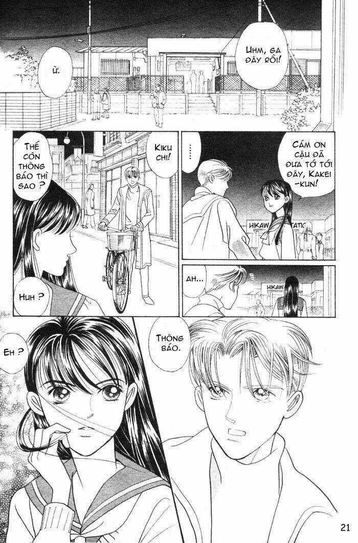 Wild Cats - Chapter 1 - Trang 24