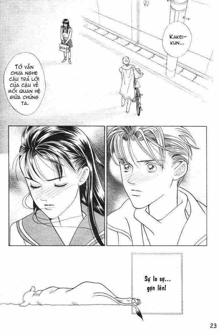 Wild Cats - Chapter 1 - Trang 26