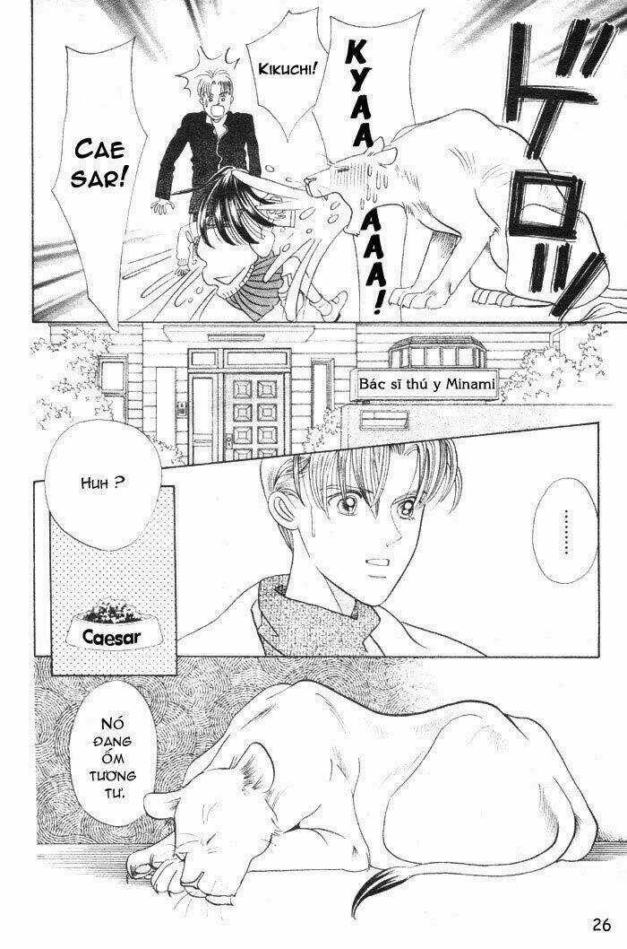 Wild Cats - Chapter 1 - Trang 29