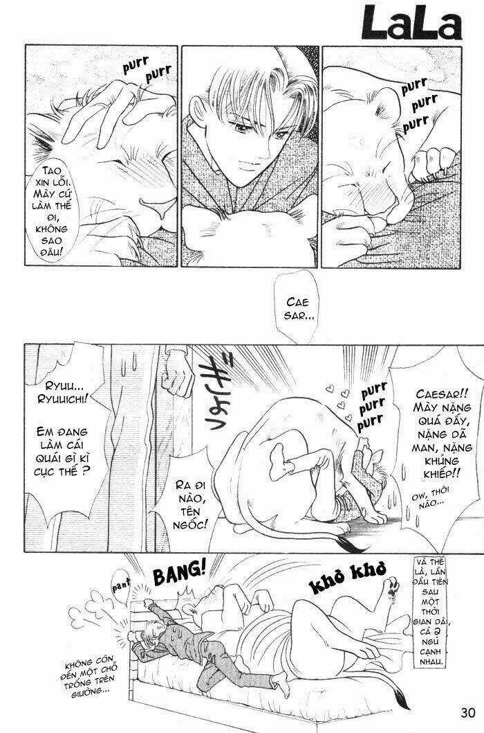 Wild Cats - Chapter 1 - Trang 33