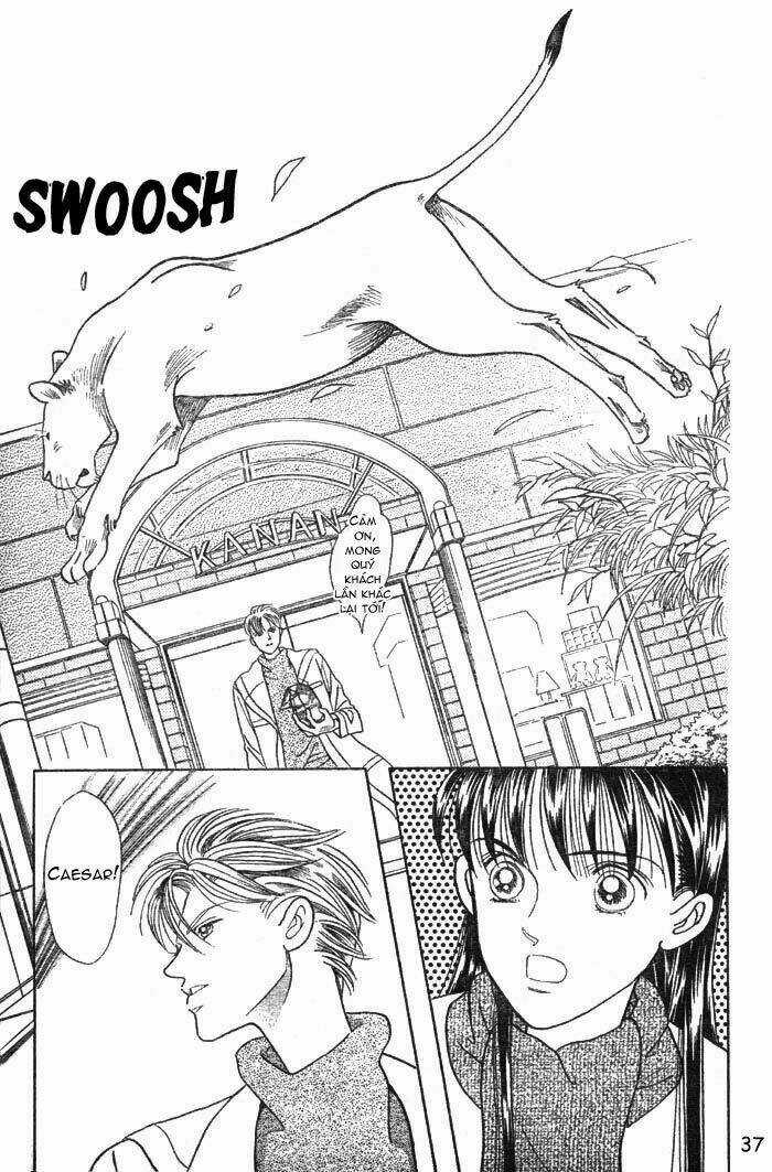 Wild Cats - Chapter 1 - Trang 40